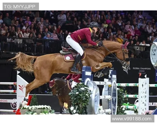 中国马术组合奥运首秀震撼全场成功晋级决赛展现中国力量与风采